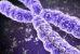 Американские ученые обнаружили генетическую причину синдрома Туретта